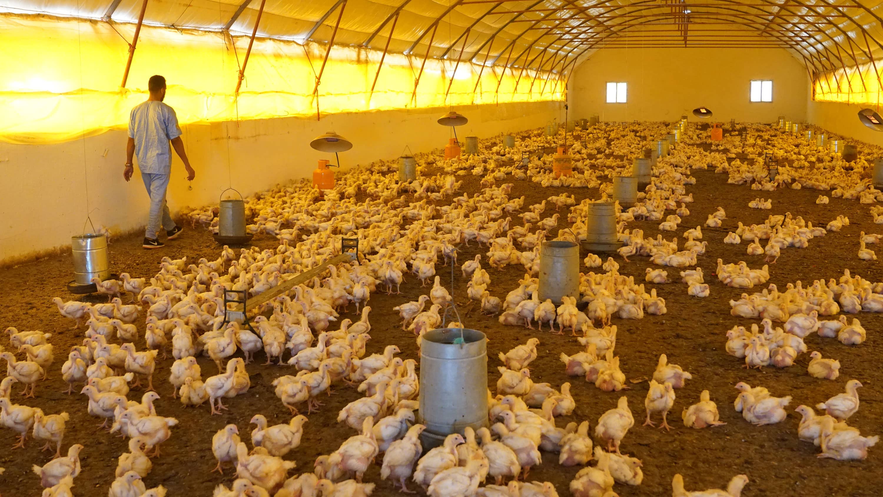 Projet CoopSud pour les coopératives