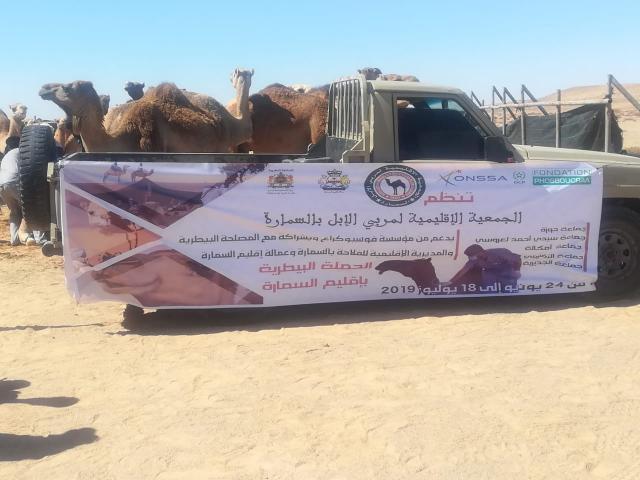 انطلاق النسخة الثانية من "الحملة البيطرية للإبل" بإقليم السمارة يوم 24 يونيو 2019