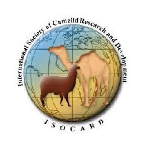 ISOCARD, the International Society of Camelid Research and Development, to Hold its 5th Conference in Laayoune