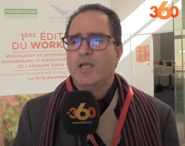Ouverture de nouvelles opportunités commerciales pour nos coopératives à Laâyoune grâce à la R&D - TV Le360