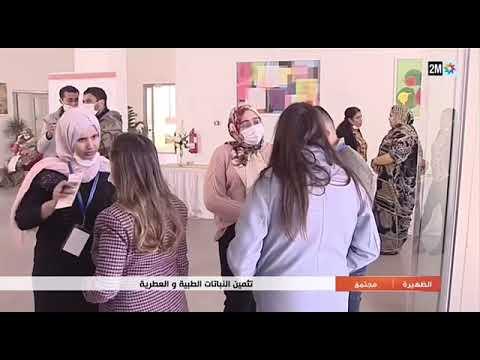 Ouverture de nouvelles opportunités commerciales pour nos coopératives à Laâyoune grâce à la R&D - TV 2M