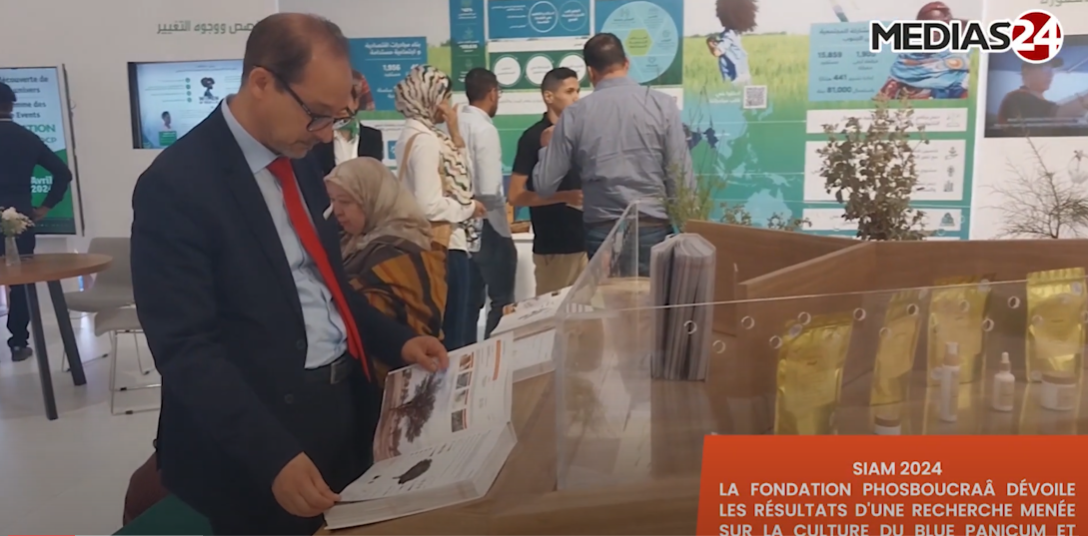 SIAM2024. La fondation Phosboucraa dévoile les résultats d’une recherche sur le Blue Panicum
