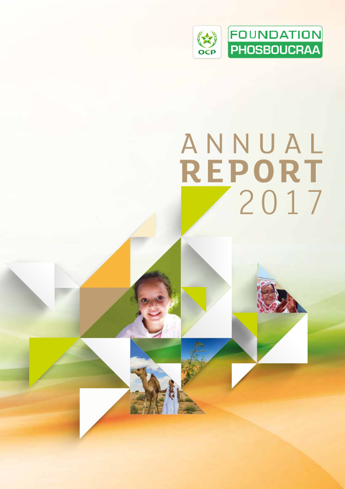Annual Report 2017