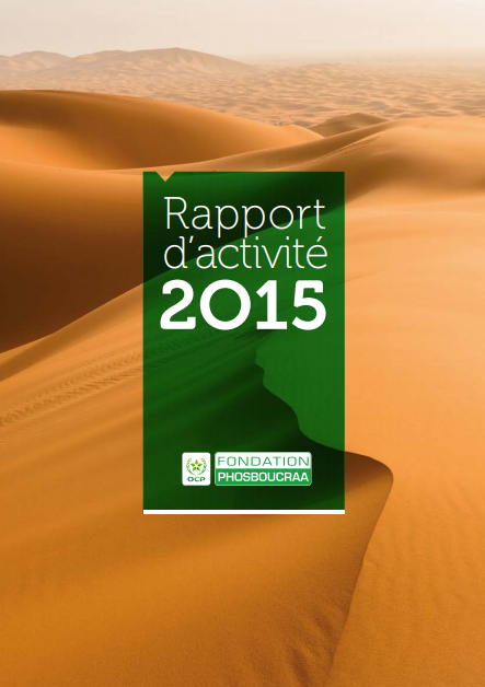 Rapport annuel 2015