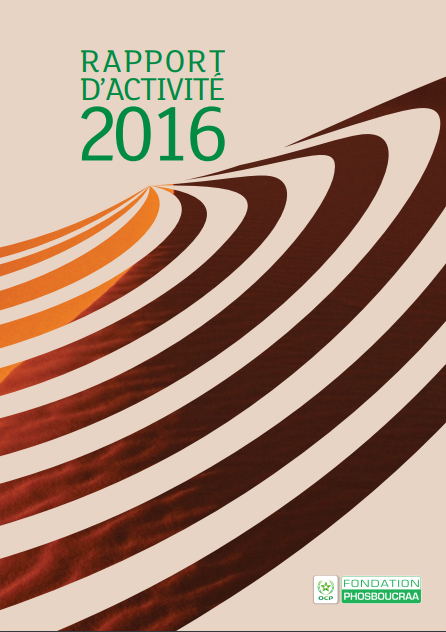 Rapport annuel 2016