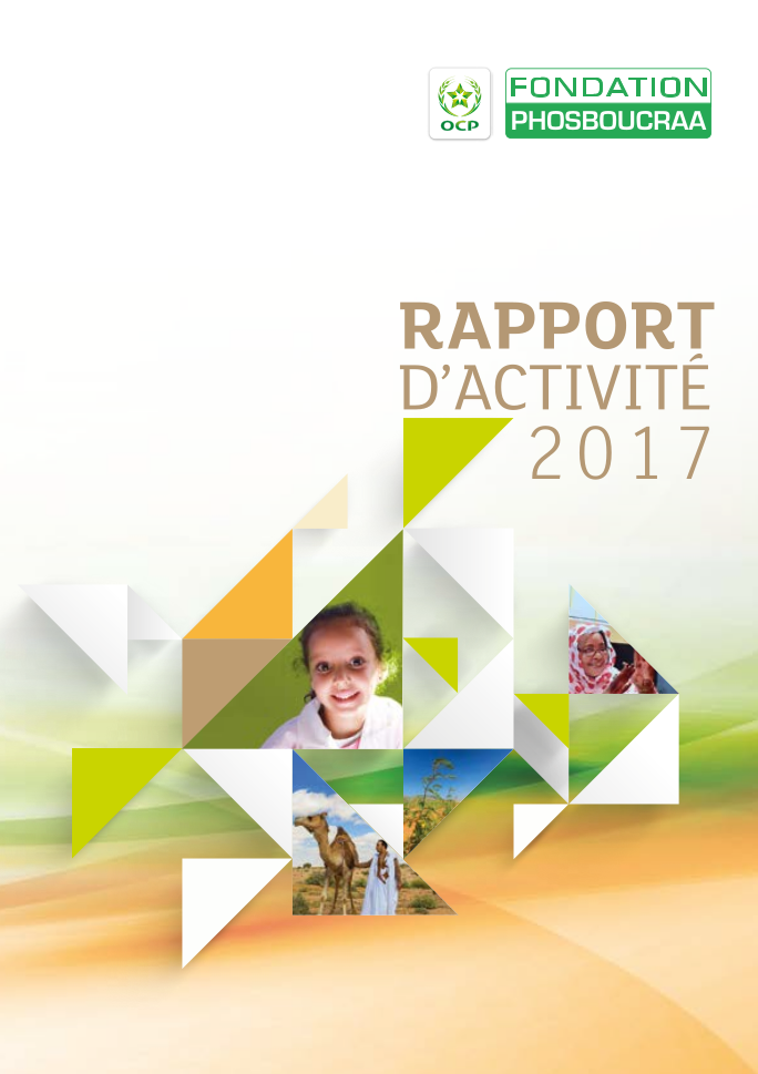 Rapport annuel 2017
