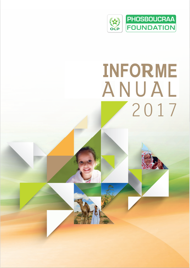 Informe anual 2017