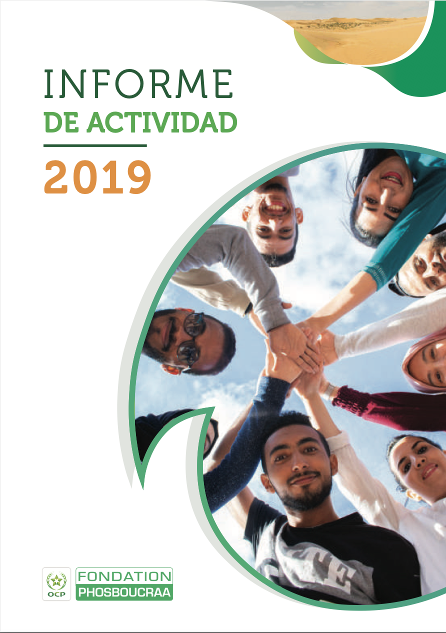 Informe anual 2019
